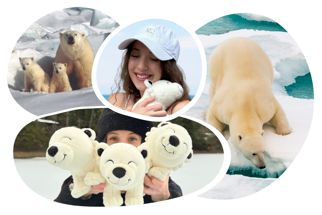 Polar Bear Adoption Plushie