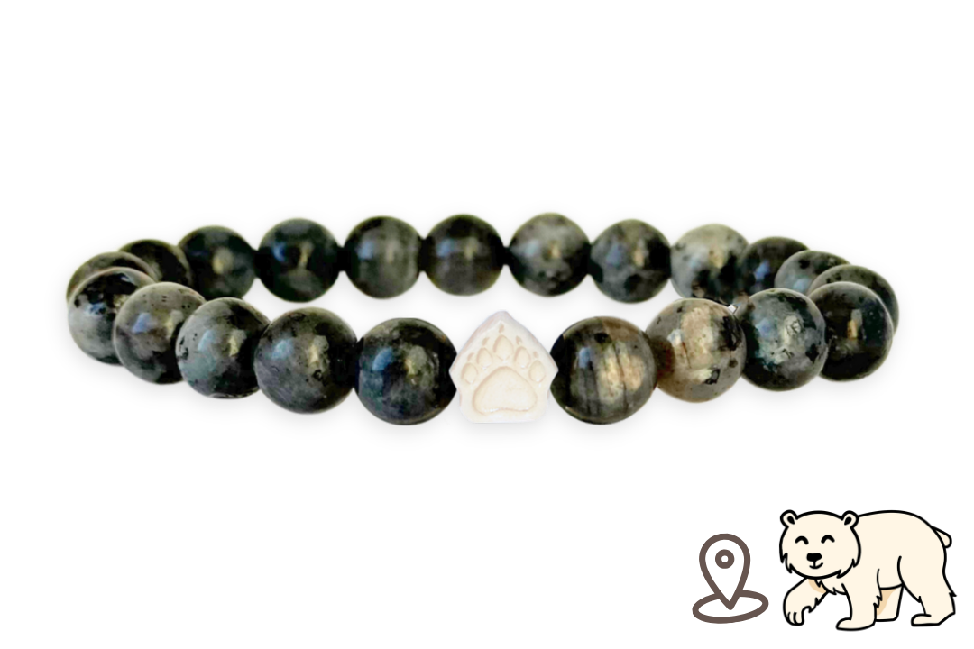 Polar Bear Tracking Bracelet