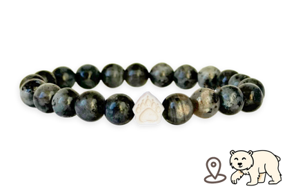 Polar Bear Tracking Bracelet