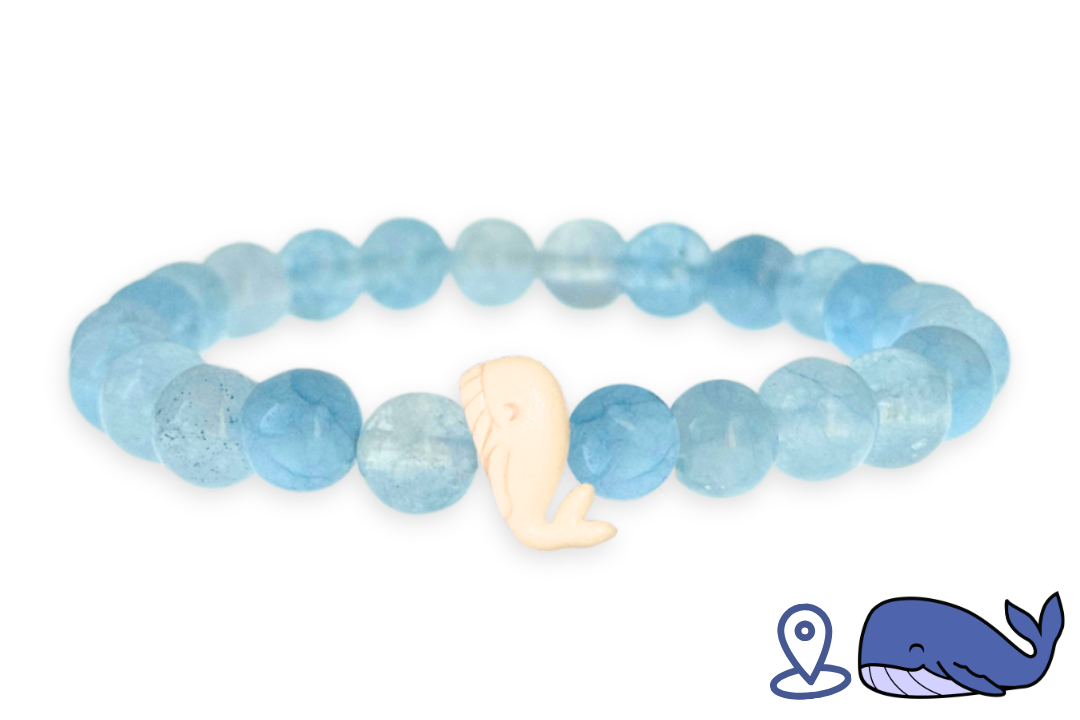 Whale Tracking Bracelet