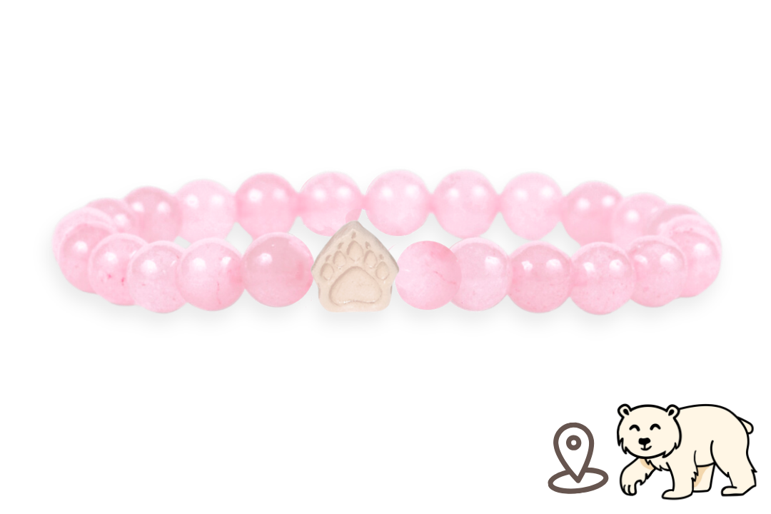 Polar Bear Tracking Bracelet