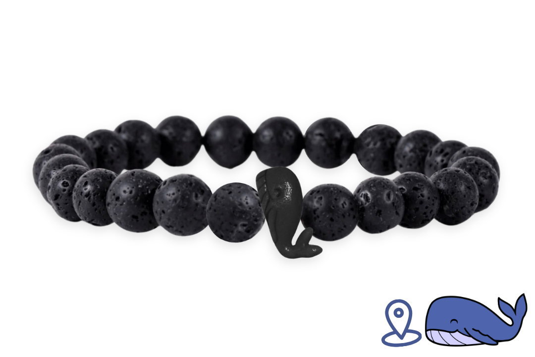 Whale Tracking Bracelet