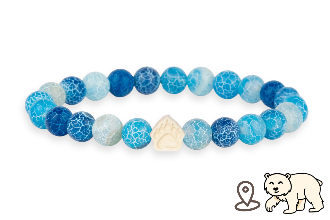Polar Bear Tracking Bracelet
