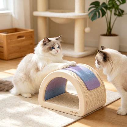 Rulessa Arch Cat Scratcher Cave Bed