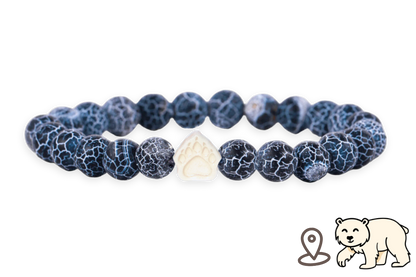 Polar Bear Tracking Bracelet