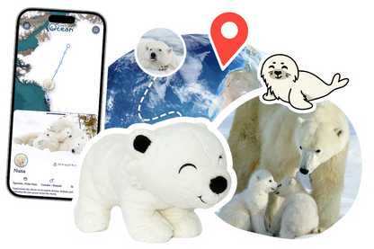 Polar Bear Adoption Plushie