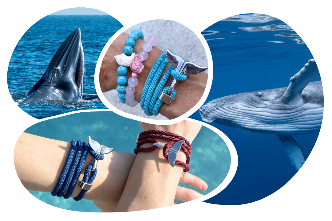 Whale Tracking Bracelet