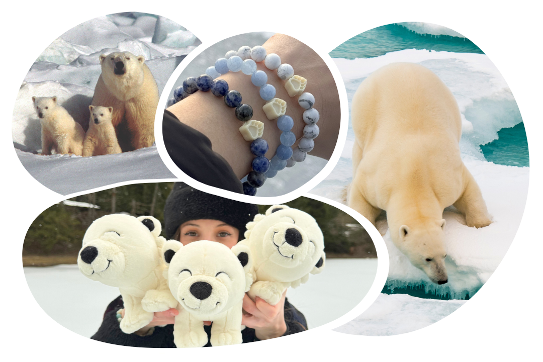 Polar Bear Tracking Bracelet