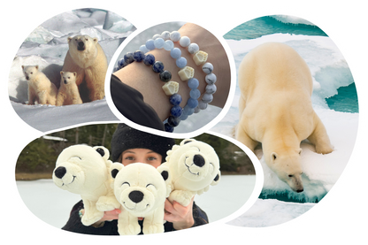 Polar Bear Tracking Bracelet