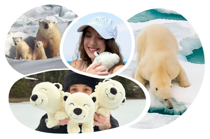 Polar Bear Adoption Plushie