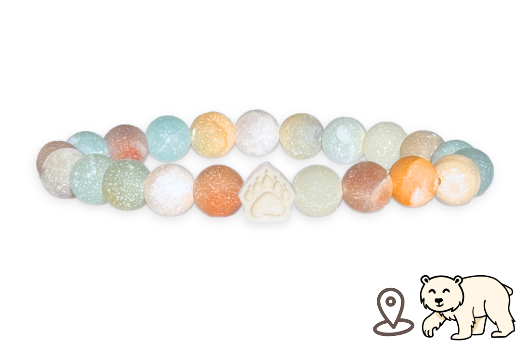 Polar Bear Tracking Bracelet