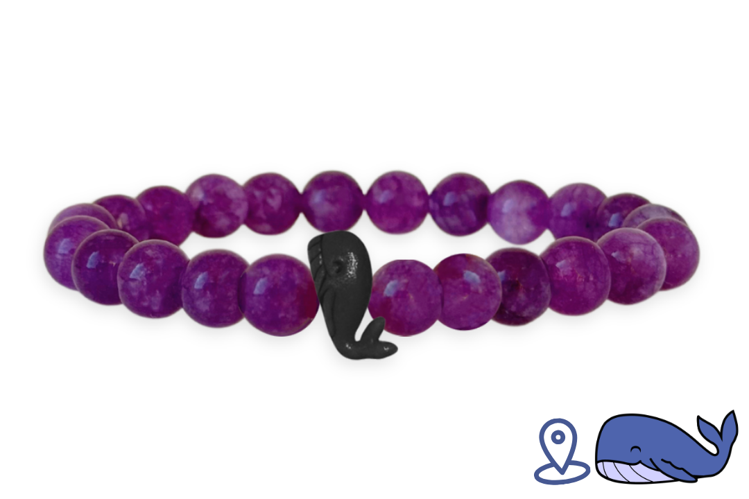 Whale Tracking Bracelet