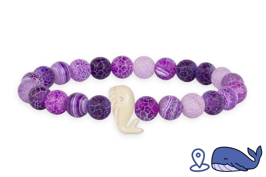 Whale Tracking Bracelet