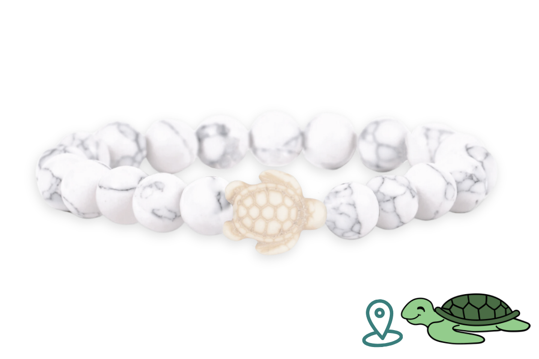Turtle Tracking Bracelet