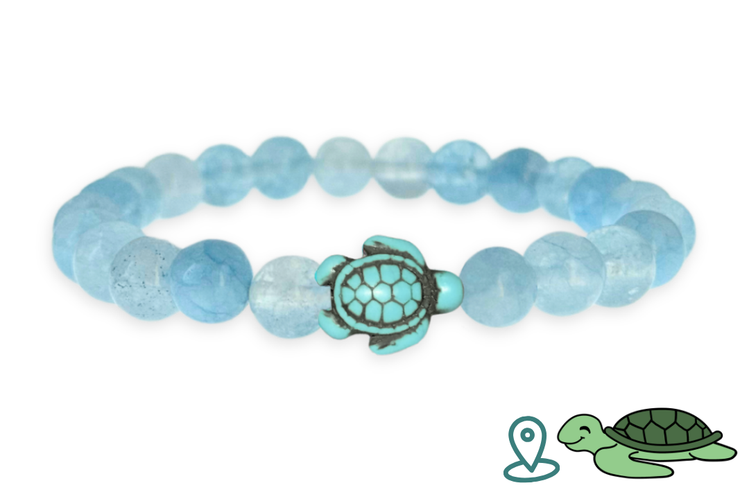 Turtle Tracking Bracelet