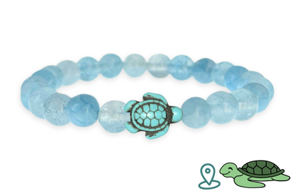 Turtle Tracking Bracelet