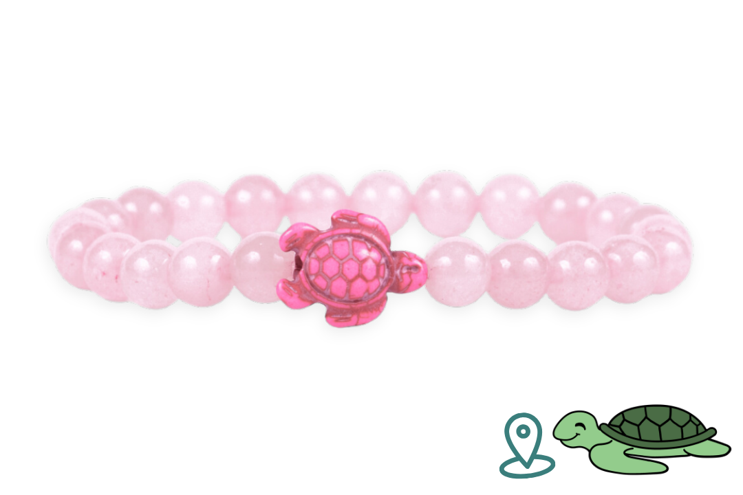 Turtle Tracking Bracelet