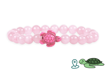 Turtle Tracking Bracelet