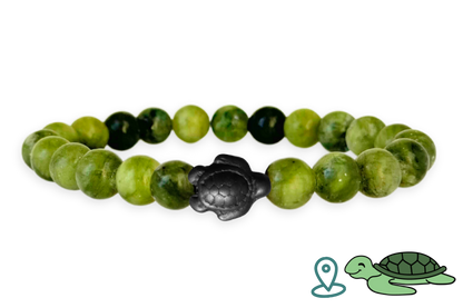 Turtle Tracking Bracelet