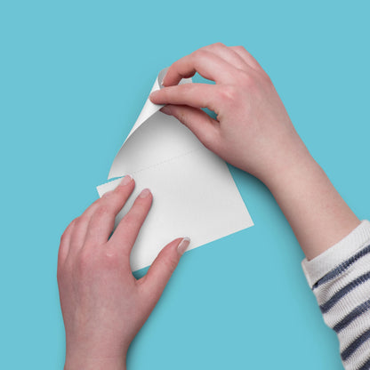 Laundry Detergent Sheets